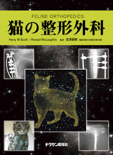猫の整形外科